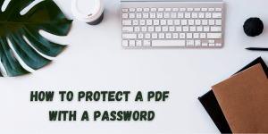 PDF Password Protection 